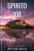 Spirito 108 (eBook, ePUB)