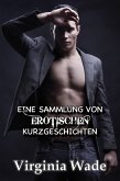 Eine Sammlung von Erotischen Kurzgeschichten (eBook, ePUB)