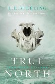 True North (eBook, ePUB)