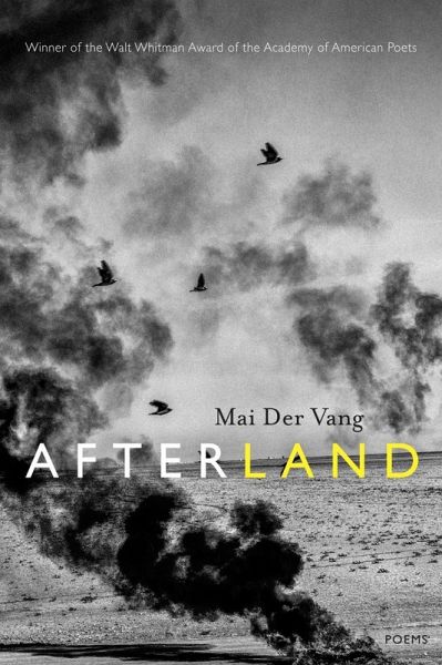 Afterland (eBook, ePUB)