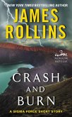 Crash and Burn (eBook, ePUB)