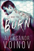 Burn (eBook, ePUB)