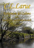 Kolosseum des Lebens (eBook, ePUB)