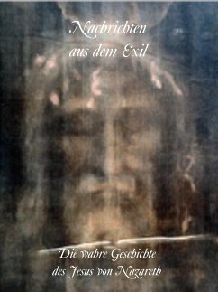 Nachrichten aus dem Exil (eBook, ePUB) - Hanses, Hannes