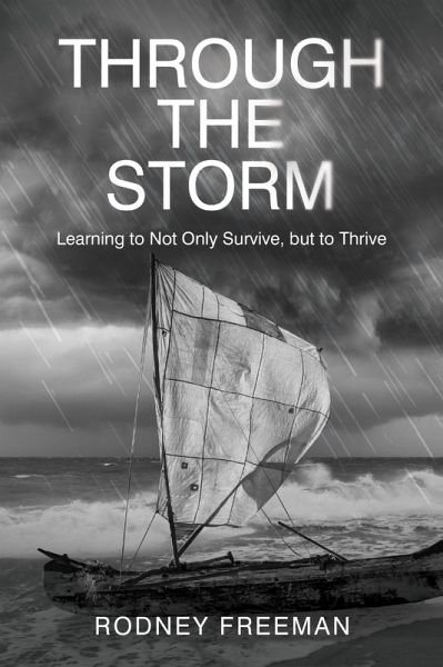 Through the Storm (eBook, ePUB) Through the Storm (eBook, ePUB)