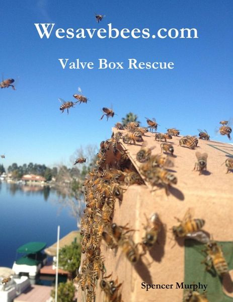 Wesavebees.com: Valve Box Rescue (eBook, ePUB)