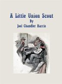 A Little Union Scout (eBook, ePUB)