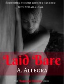 Laid Bare (eBook, ePUB)