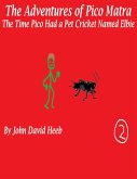 The Adventures of Pico Matra: The Time Pico Had a Pet Cricket Named Elbie (eBook, ePUB)