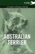 Australian Terrier - A Complete... - Bild 1