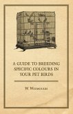 A Guide to Breeding Specific Colours in Your Pet Birds (eBook, ePUB)