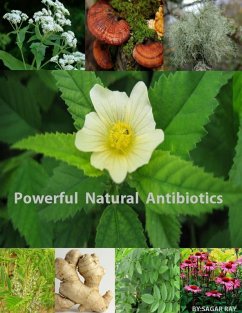 Powerful Natural Antibiotics (eBook, ePUB) - RAY, SAGAR