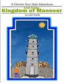 The Kingdom of Mansoer (eBook, ePUB)
