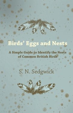 Cover Birds' Eggs and Nests - A Simple Guide to Identify the Nests of Common British Birds (eBook, ePUB)