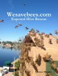 Wesavebees.com: Exposed Hive Rescue... - Bild 1