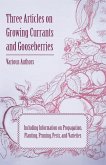 Three Articles on Growing Currants and Gooseberries - Including Information on Propagation, Planting, Pruning, Pests, Varieties (eBook, ePUB)