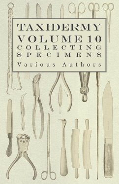 Cover Taxidermy Vol. 10 Collecting Specimens - The Collection and Displaying Taxidermy Specimens (eBook, ePUB)