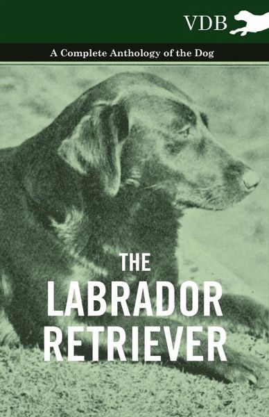 The Labrador Retriever - A Complete Anthology of the Dog (eBook, ePUB)