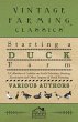 Starting a Duck Farm - A Collection of... - Bild 1