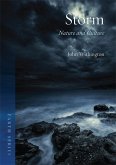 Storm (eBook, ePUB)