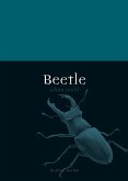 Beetle (eBook, ePUB)