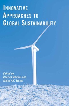 Innovative Approaches to Global Sustainability (eBook, PDF)