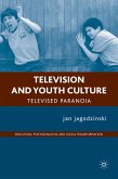 Television and Youth Culture (eBook, PDF)