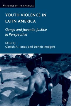 Youth Violence in Latin America (eBook, PDF)