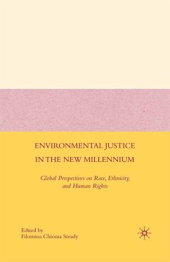 Environmental Justice in the New Millennium (eBook, PDF) - Steady, F.