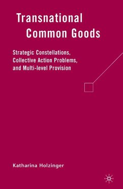 Transnational Common Goods (eBook, PDF) - Holzinger, K.