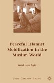 Peaceful Islamist Mobilization in the Muslim World (eBook, PDF)