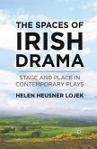 The Spaces of Irish Drama (eBook, PDF)