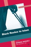 Black Routes to Islam (eBook, PDF)