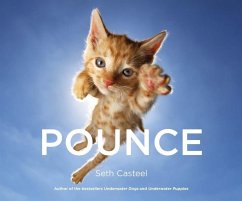 Pounce (eBook, ePUB) - Casteel, Seth