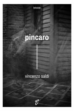 Pincaro (eBook, ePUB) - Saldì, Vincenzo