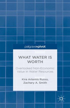 What Water Is Worth: Overlooked Non-Economic Value in Water Resources (eBook, PDF) - Russo, K.; Smith, Z.