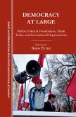 Democracy at Large (eBook, PDF)