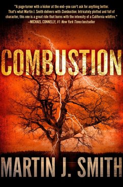 Combustion (eBook, ePUB) Cover Combustion (eBook, ePUB)
