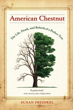 American Chestnut (eBook, PDF) - Freinkel, Susan