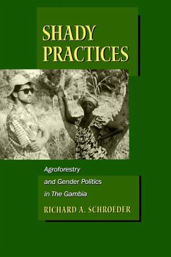 Shady Practices (eBook, PDF) - Schroeder, Richard A.