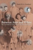 Between Arab and White (eBook, PDF)