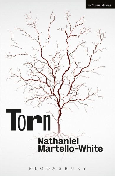 Torn (eBook, ePUB)