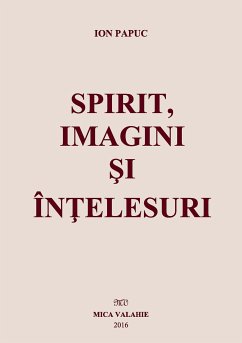 Spirit, imagini și înțelesuri (eBook, ePUB) - Papuc, Ion
