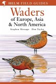 Field Guide to Waders of Europe, Asia and North America (eBook, PDF)