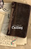 Csillag (eBook, ePUB)