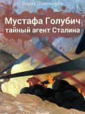 Мустафа Голубич – тайный агент Сталина – Исторический роман (eBook, ePUB)