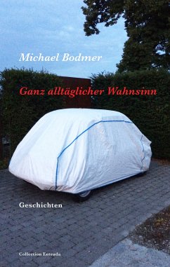 Ganz alltäglicher Wahnsinn (eBook, ePUB) - Bodmer, Michael