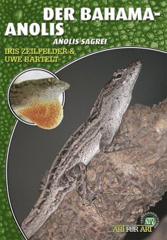 Der Bahama-Anolis (eBook, ePUB) - Zeilfelder, Iris; Bartelt, Uwe