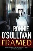 Framed (eBook, ePUB)