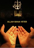 ALLAH BANA YETER (eBook, ePUB)